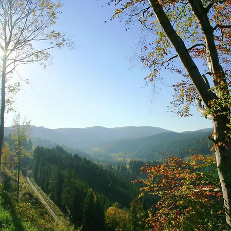 Malerische Erdgeschosswohnung * Urberg