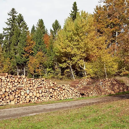 Flat Near The Area In