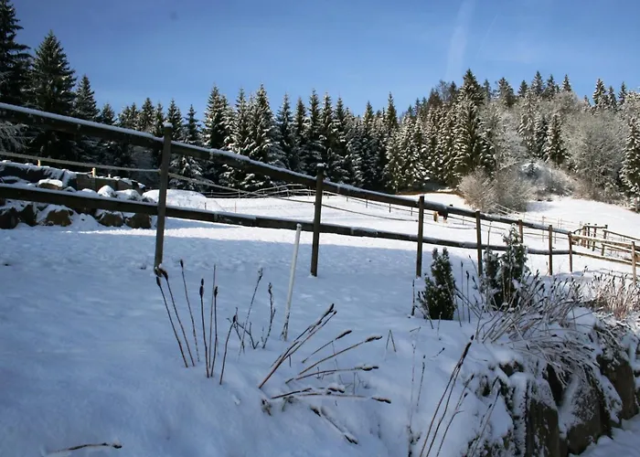 Apartamento Malerische Erdgeschosswohnung
