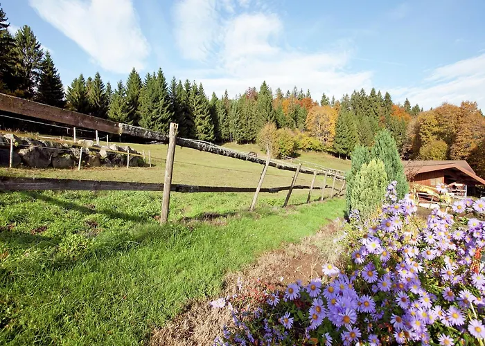 Malerische Erdgeschosswohnung Apartamento *