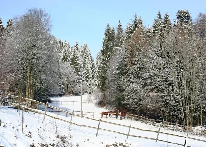 Malerische Erdgeschosswohnung Apartamento Urberg