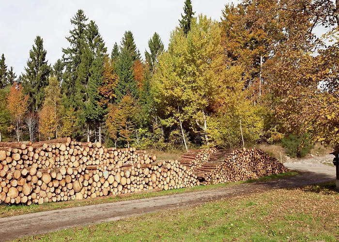 Apartamento Malerische Erdgeschosswohnung Urberg